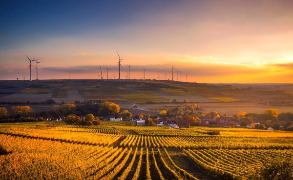 field at sunrise with wind turbines