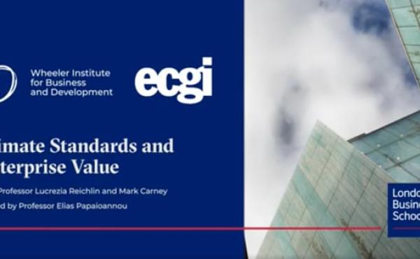 Climate Standards and Enterprise Value
