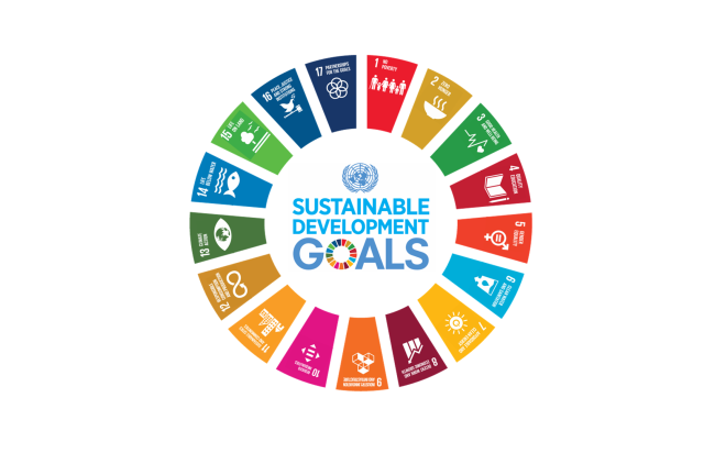 The SDG goals