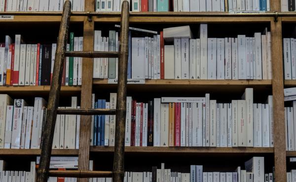 A ladder leaning against a library shelf