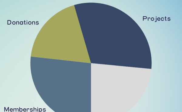 a pie chart showing income sources