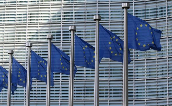 Blue EU flags on poles in a line