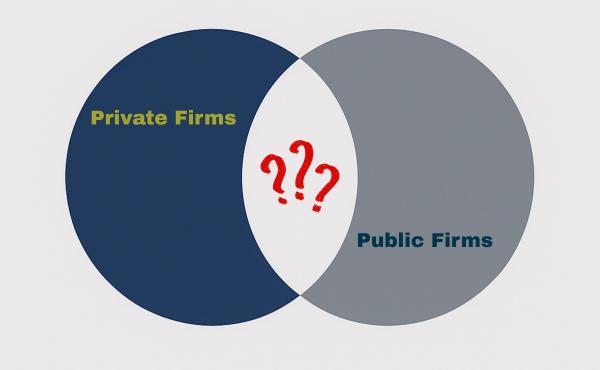 Private vs public market