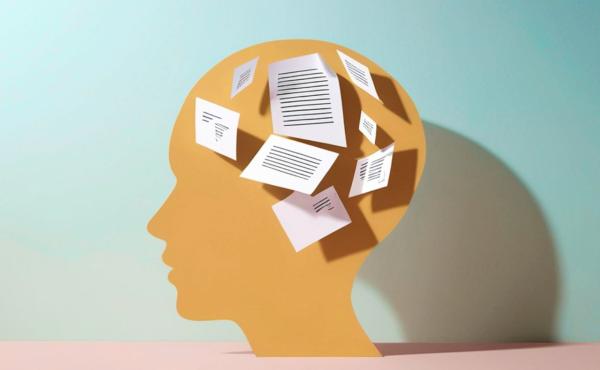 Boards in Times of Change: The Challenge of Overload