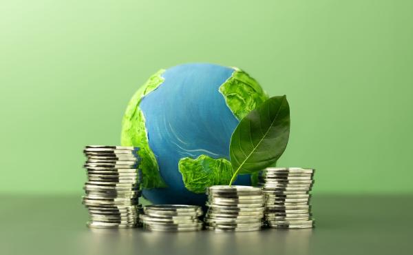 Sustainable Investing
