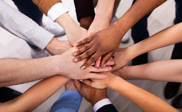 Diversity