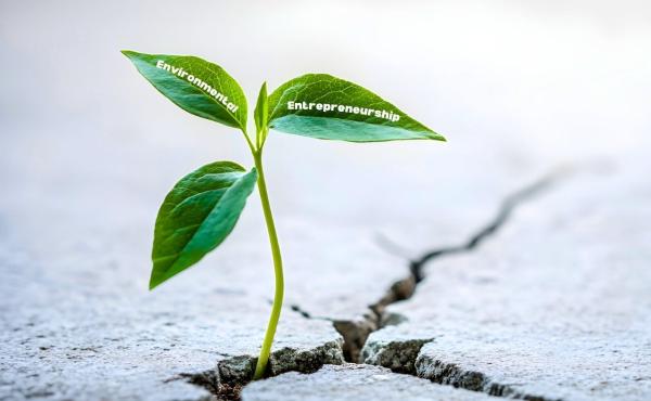 plant growing through concrete