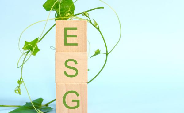 ESG
