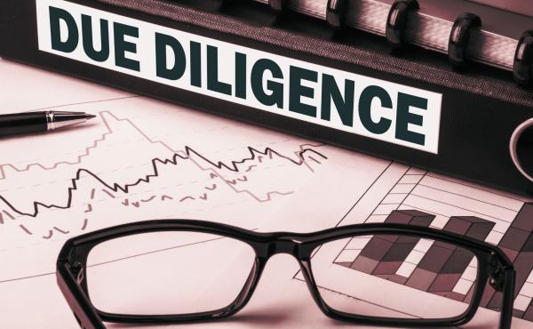 Corporate Sustainability Due Diligence