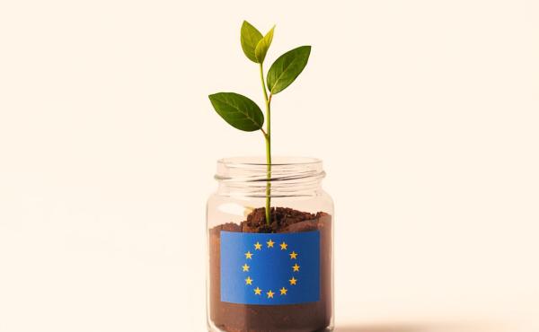 EU Inc