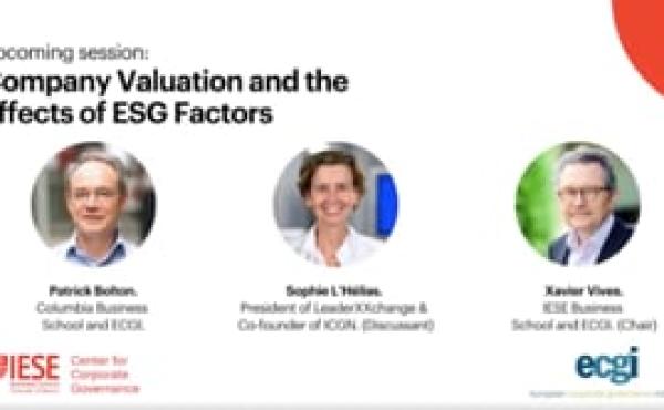 Company valuation and the effects of ESG factors
