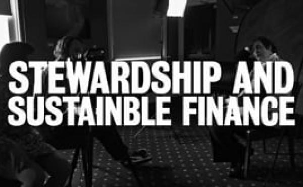 Stewardship and Sustainable Finance