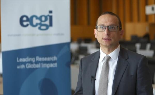 "Why Do Boards Exist?" Winner of the best paper in the ECGI Finance Series in 2017