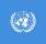 UN Flag