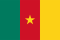 Cameroon flag