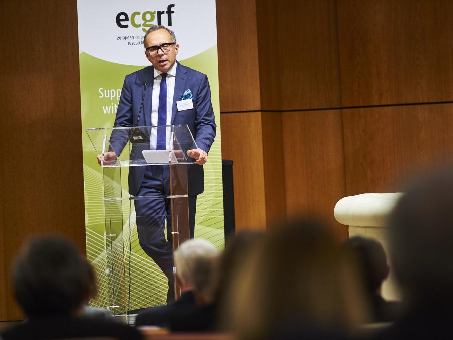 Image 27 in gallery for  European Corporate Governance Research Foundation (ECGRF)