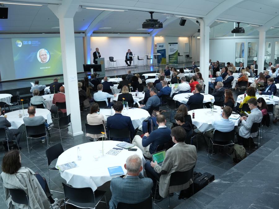 Image 13 in gallery for The 2023 ECGI Annual Meeting