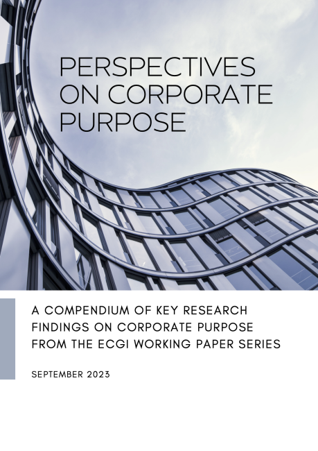 A report cover on corporate perspectives