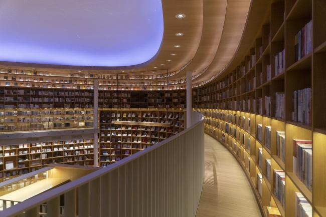 shelves of books in a library