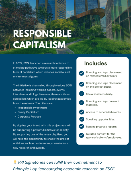 a document proposing sponsorship of a project on responsible capitalism