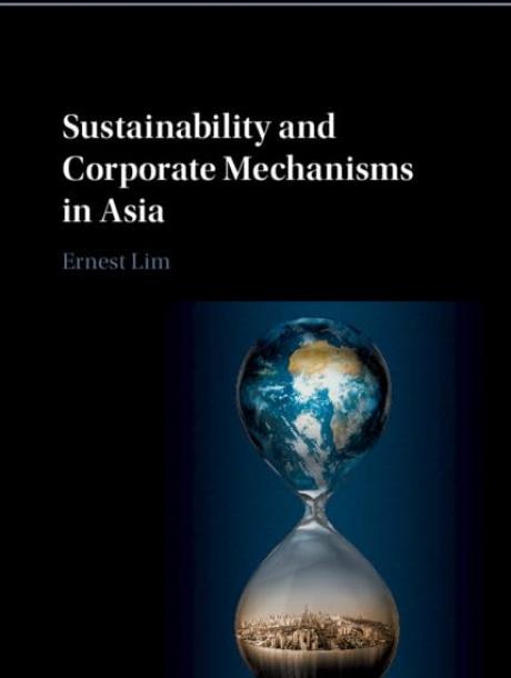 Sustainability and Corporate Mechanisms in Asia