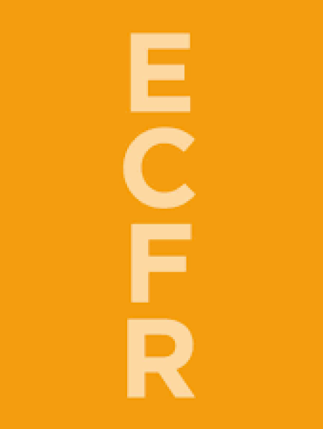 European Company and Financial Law Review