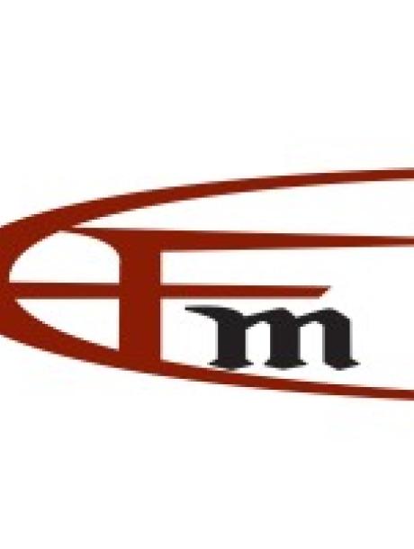 European Financial Management