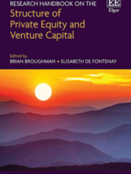 book cover of structure-of-private-equity-and-venture-capital.