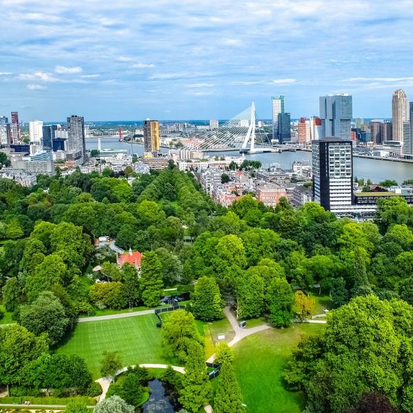 a city view behind a green park