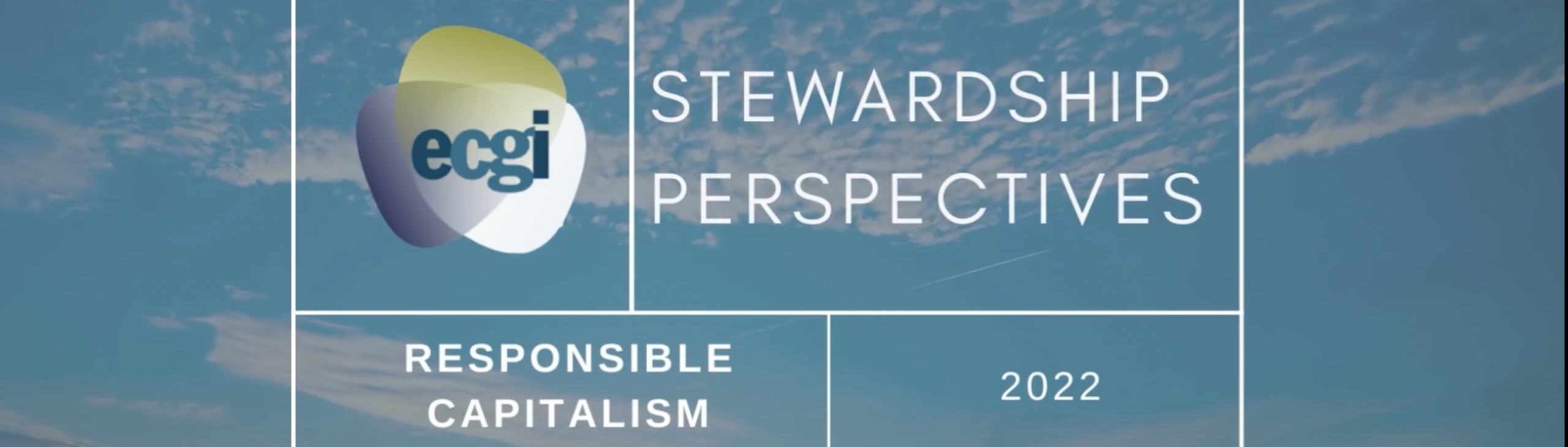 Stewardship Perspectives