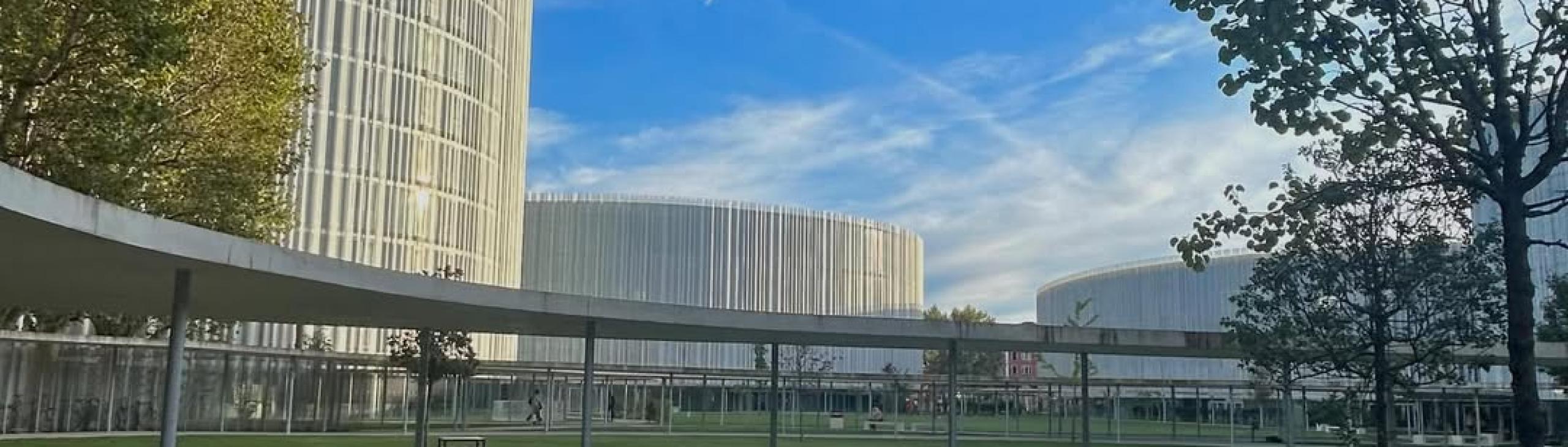 Bocconi