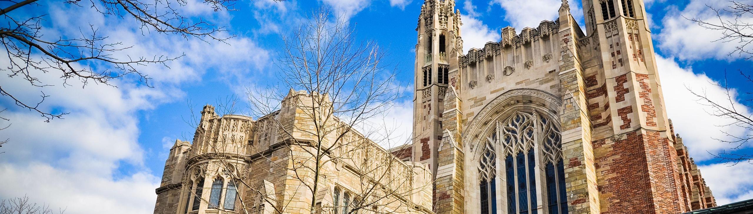 Image of Yale