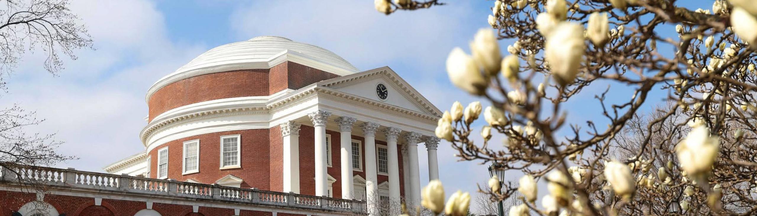 University of Virgina