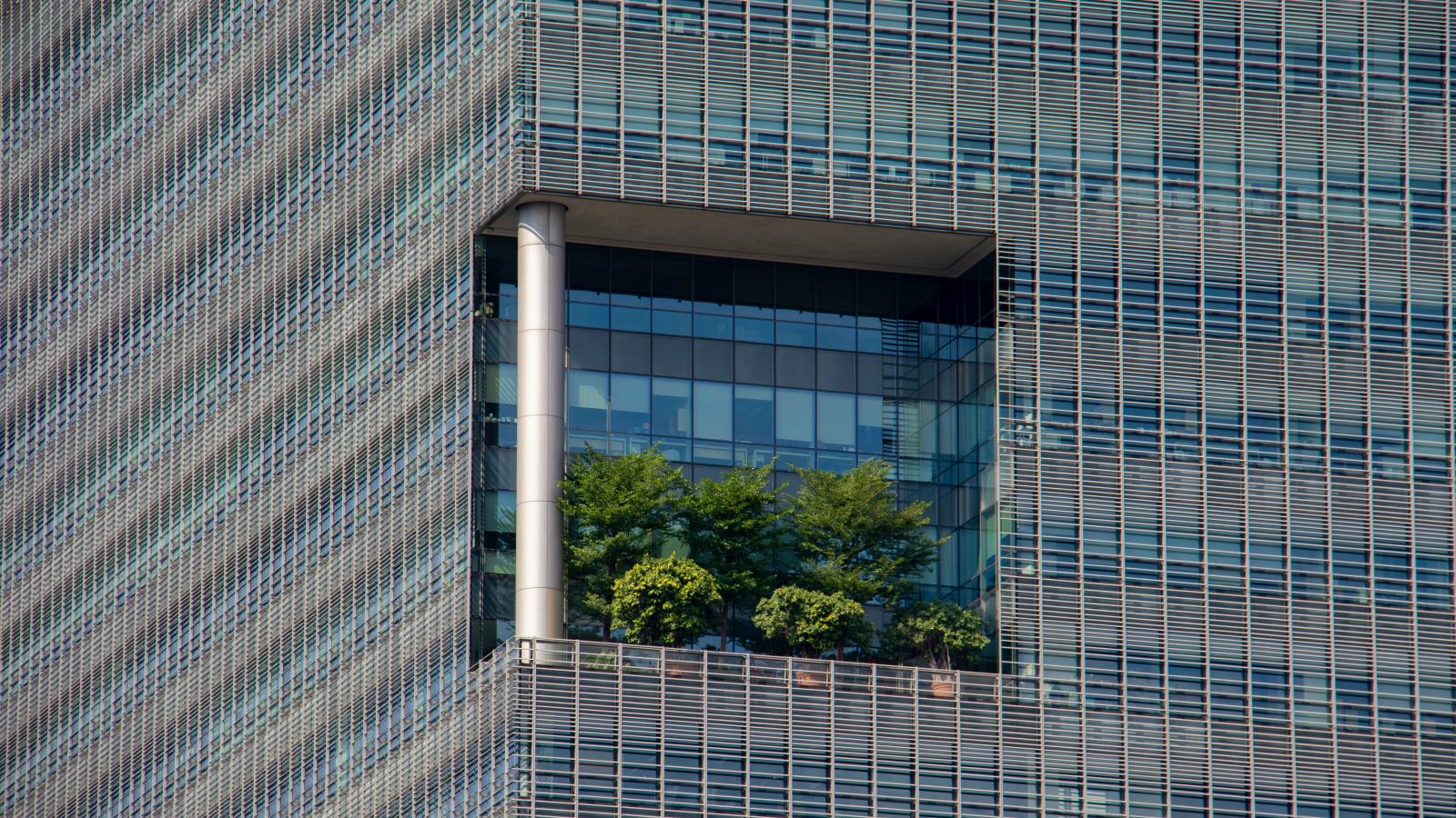 Office building with trees on a high floor
