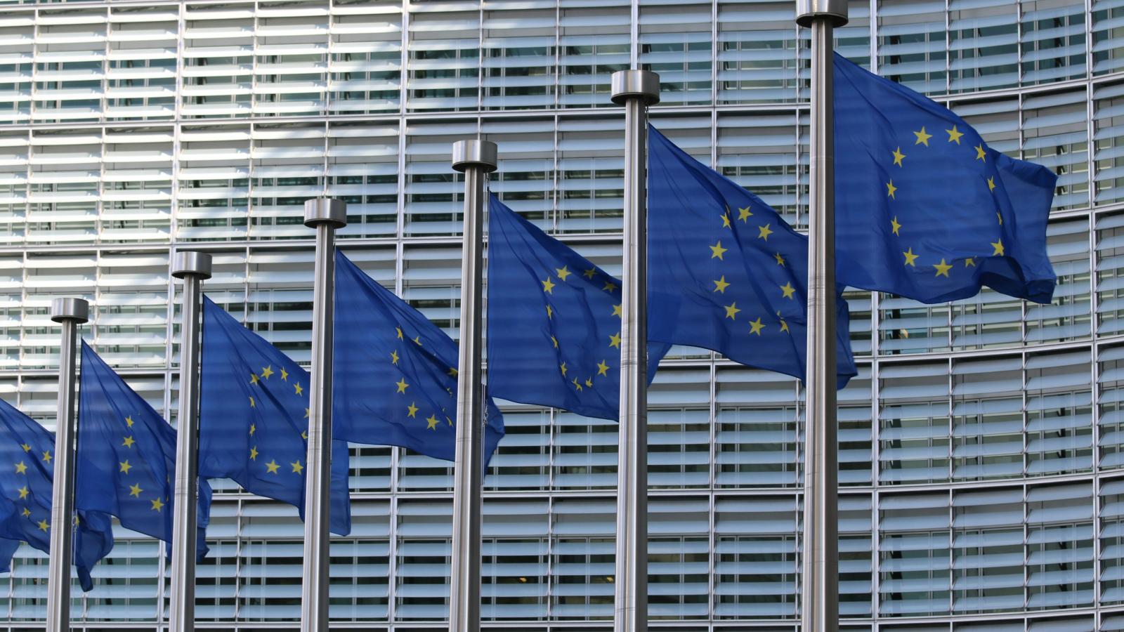 Blue EU flags on poles in a line