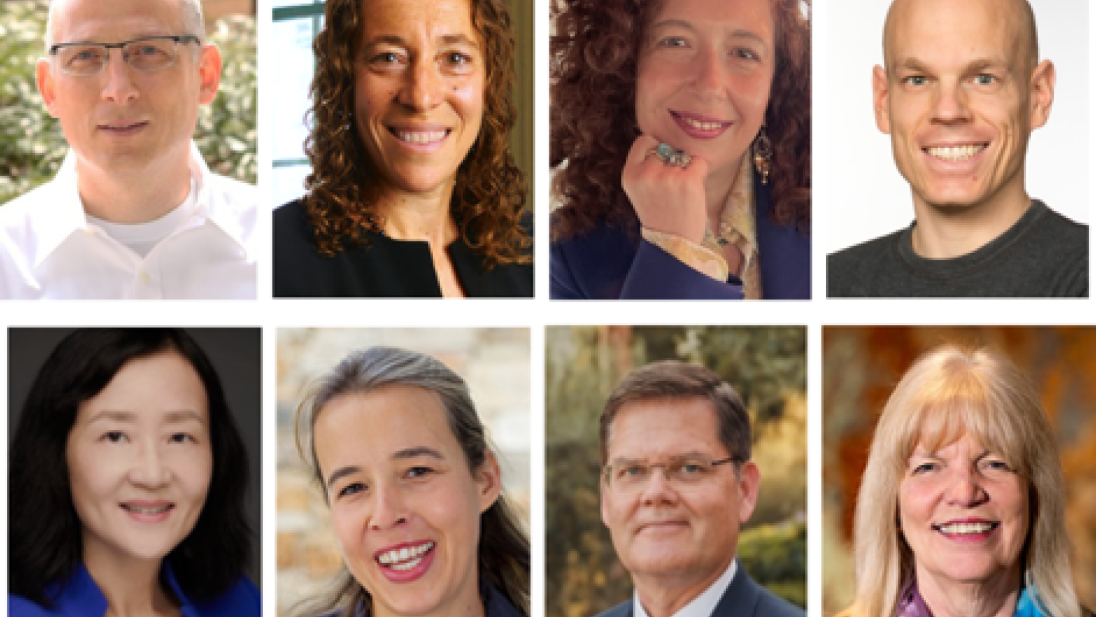 fellows-2024