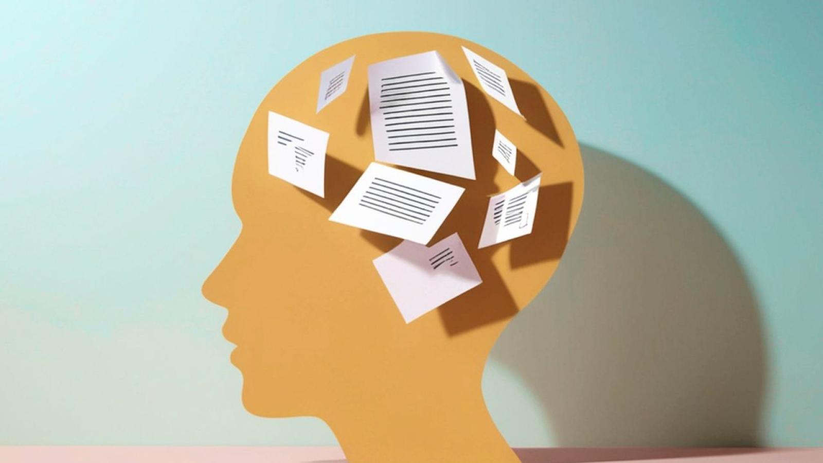 Boards in Times of Change: The Challenge of Overload