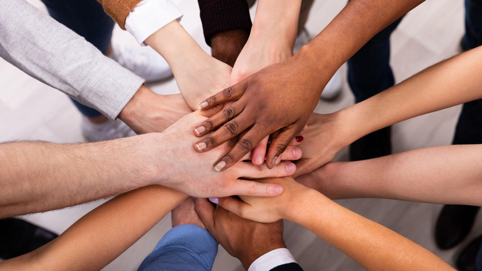 Diversity