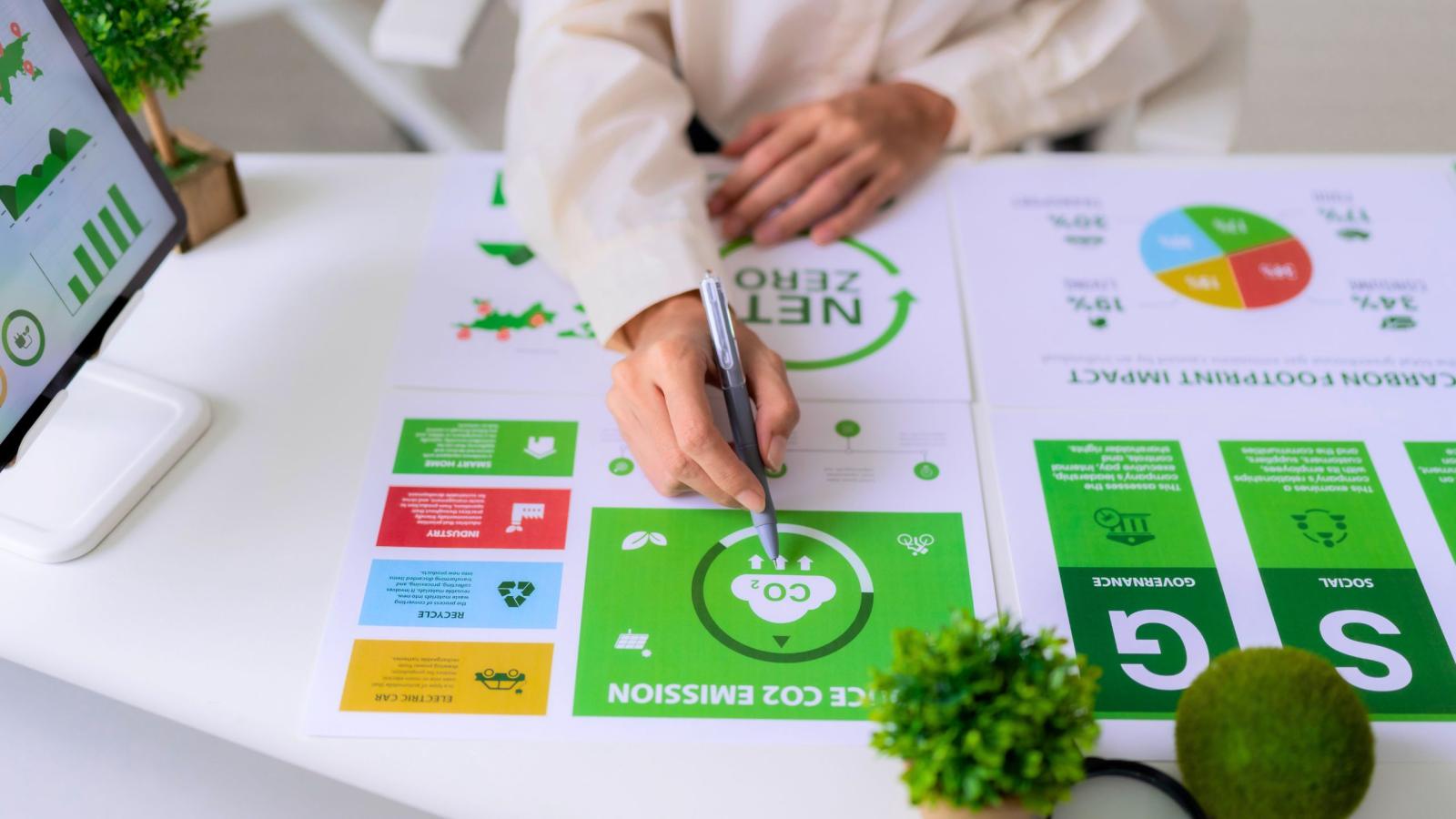 Sustainability Standards and Reporting