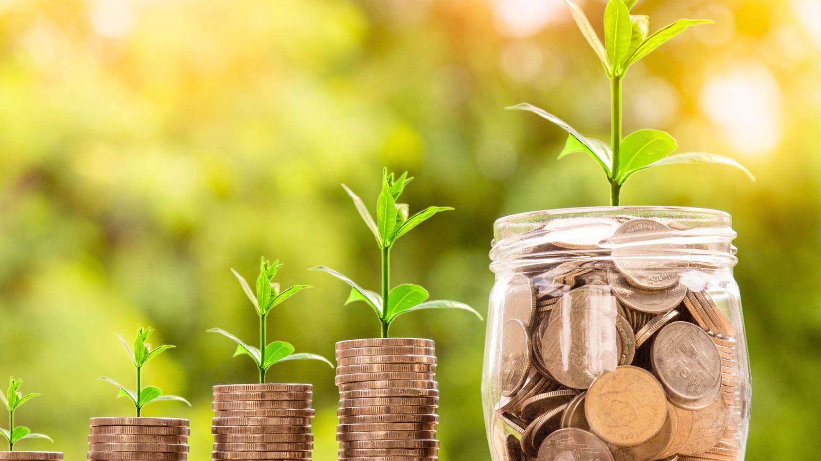 Responsible Investment