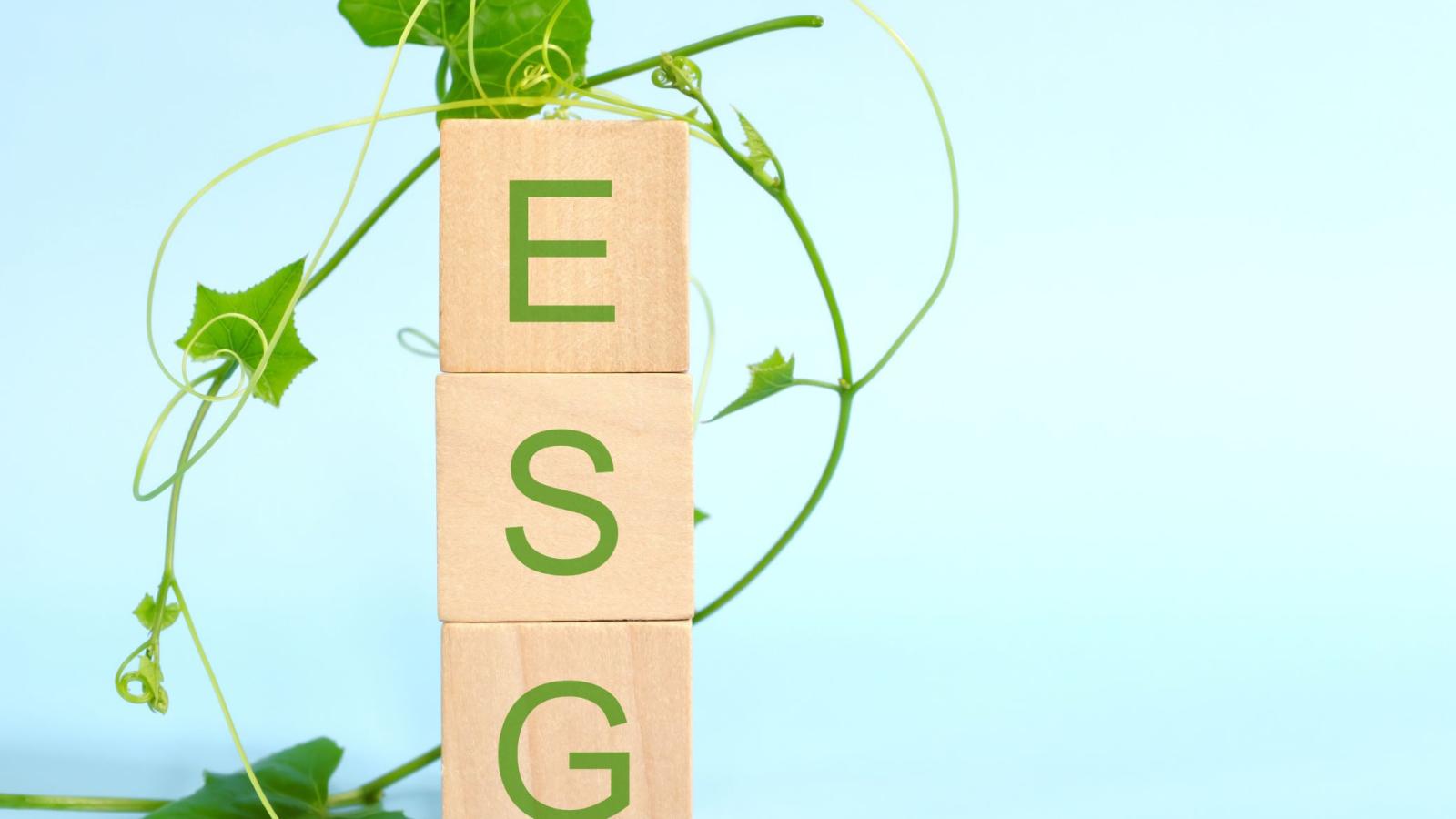 ESG