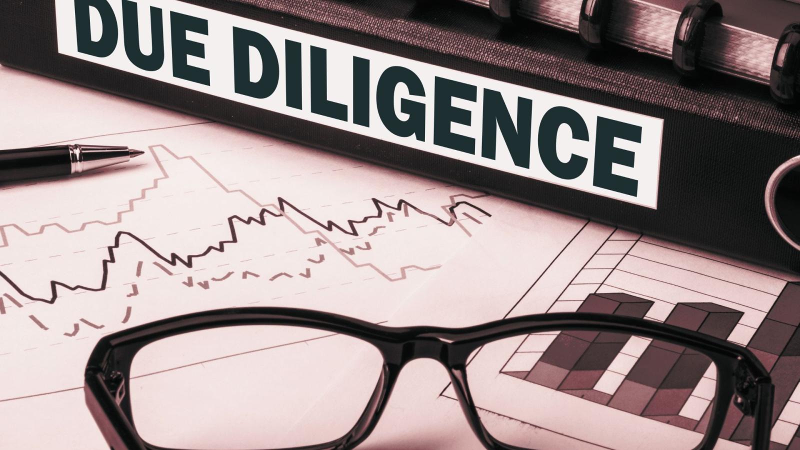 Corporate Sustainability Due Diligence