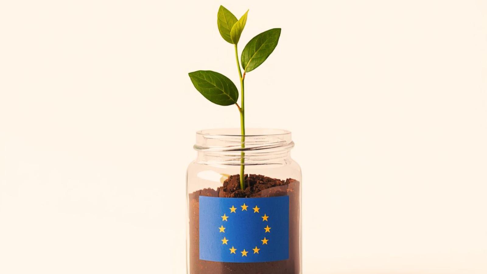 EU Inc